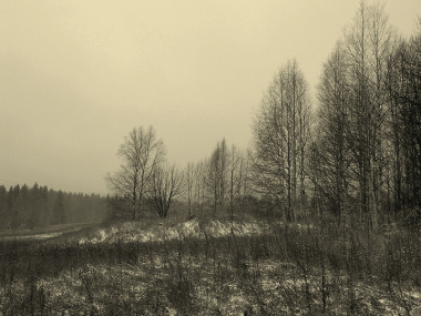 Тестовая новость